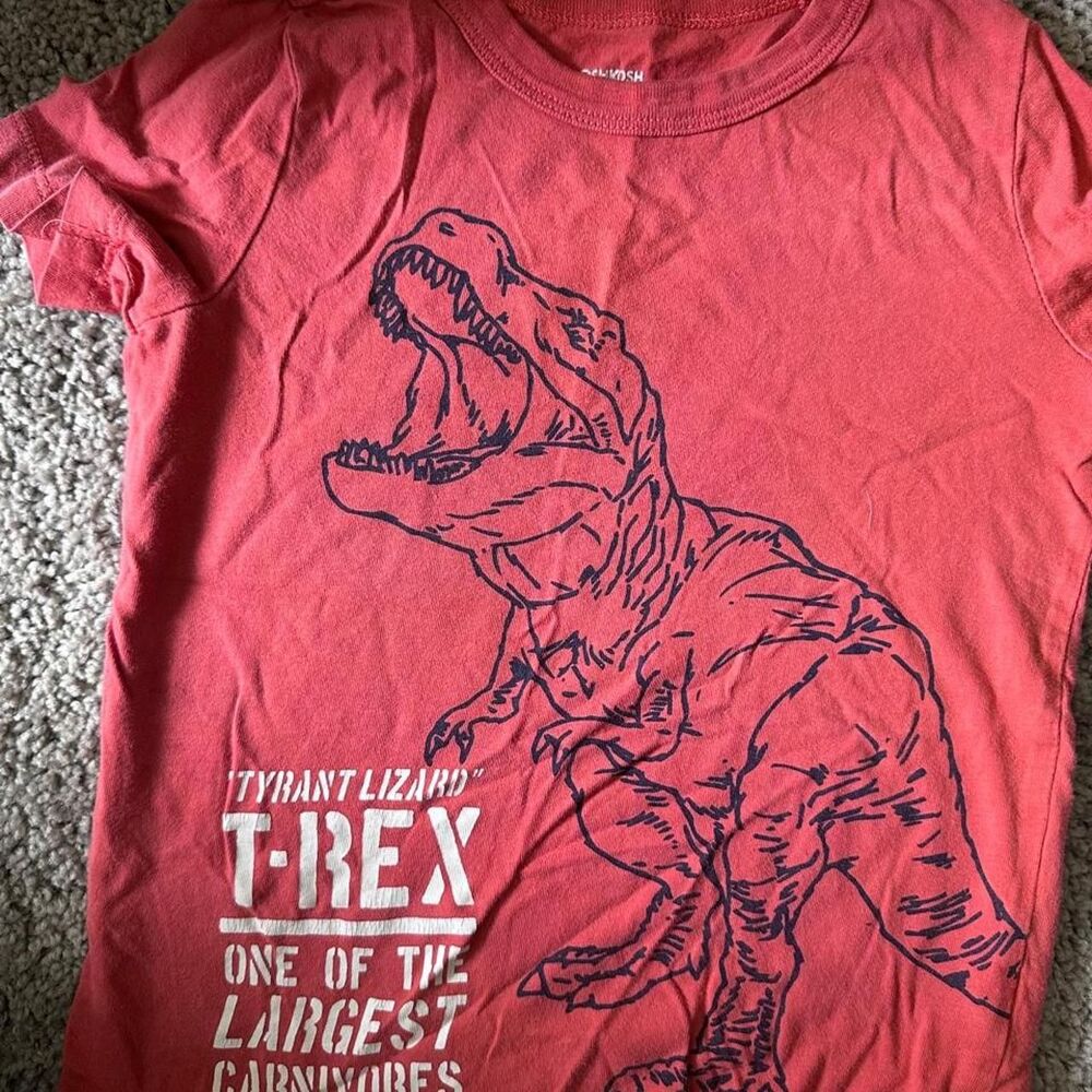 Oshkosh-b-gosh Men's Red and Pink T-shirt